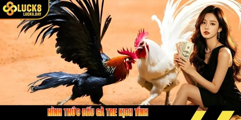 Hình thức đấu gà tre kịch tính