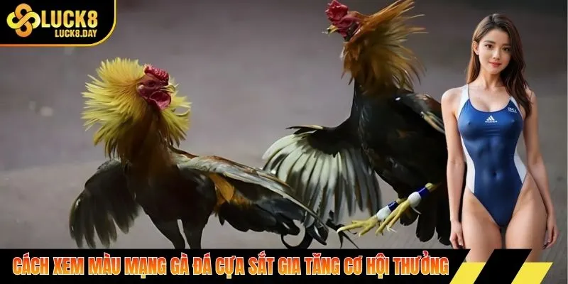 Cách xem màu mạng gà đá cựa sắt gia tăng cơ hội thưởng